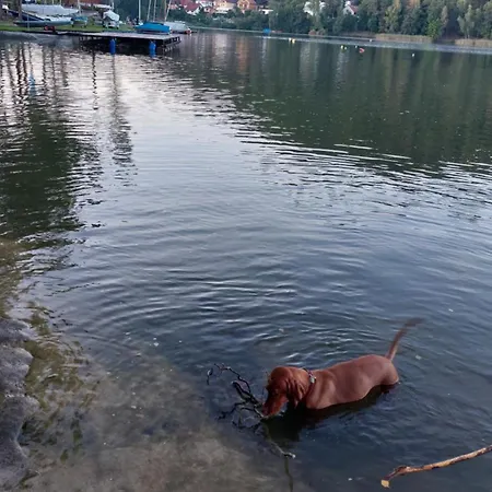 Ξενοδοχείο με διαμερίσματα Felsenburg